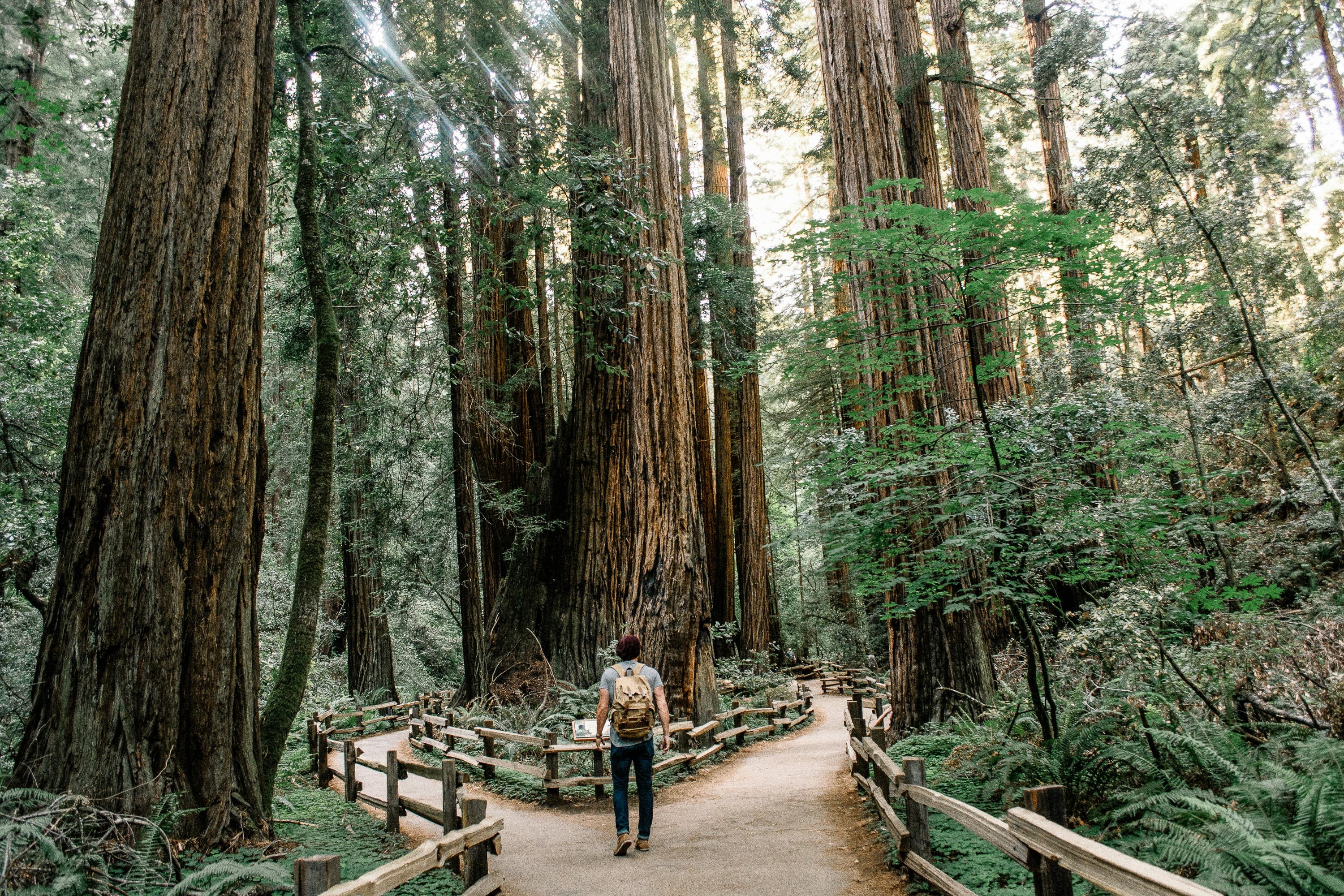 man wearing gray t shirt standing on forest J3JMyXWQHXU